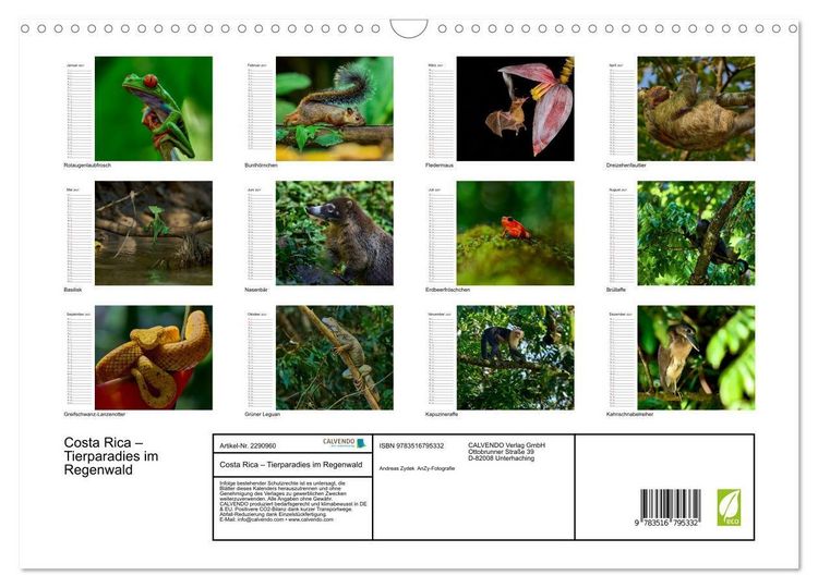 Produktbild: Costa Rica &ndash; Tierparadies im Regenwald (Wandkalender 2027 DIN A3 quer), CALVENDO Monatskalender