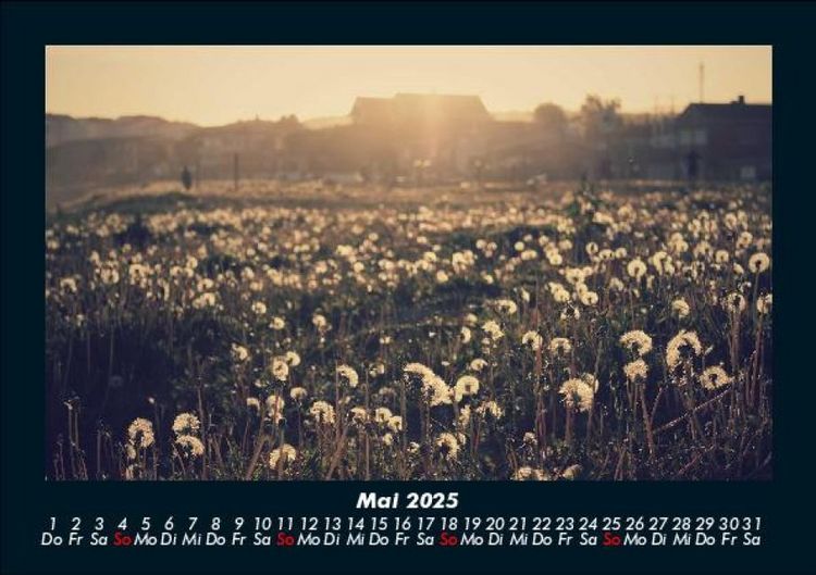 Produktbild: Bilder der Natur 2025 Fotokalender DIN A5