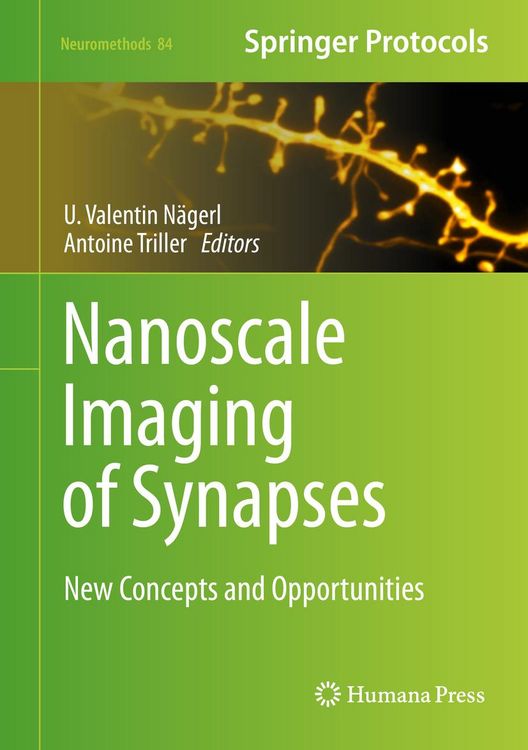 Produktbild: Nanoscale Imaging of Synapses