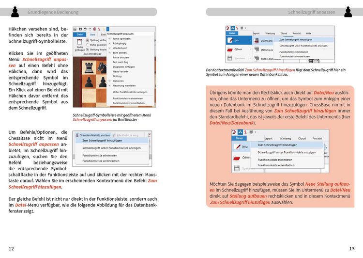 Produktbild: ChessBase 17 - Tipps und Tricks