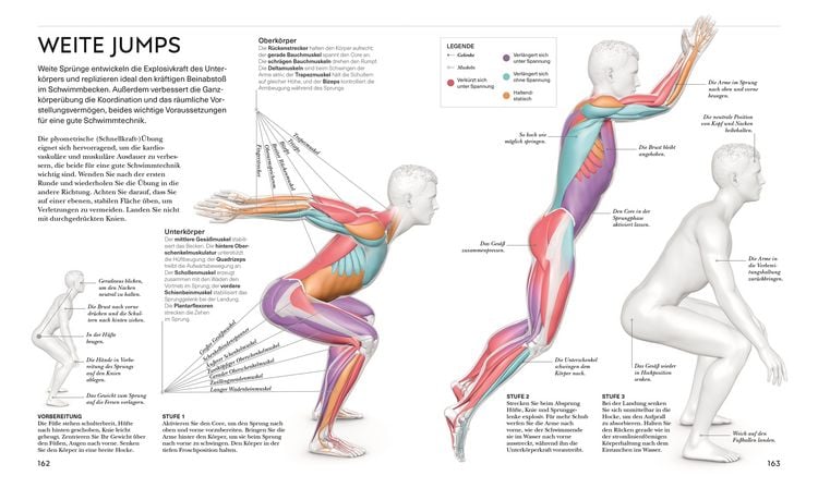 Produktbild: Schwimmen - Die Anatomie verstehen