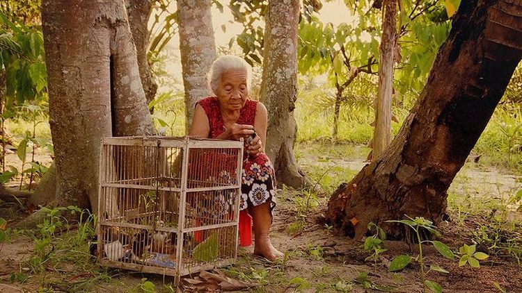 Produktbild: The Look of Silence