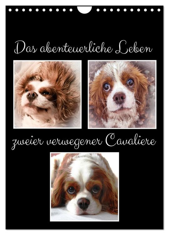 Produktbild: Das abenteuerliche Leben zweier verwegener Cavaliere (Wandkalender 2026 DIN A4 hoch), CALVENDO Monatskalender