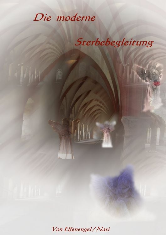 Produktbild: Die moderne Sterbebegleitung