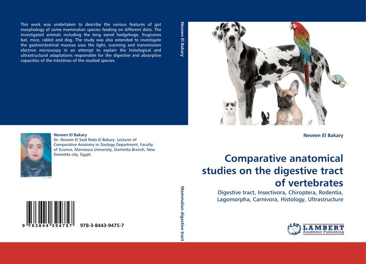 Produktbild: Comparative anatomical studies on the digestive tract of vertebrates