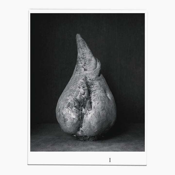 Produktbild: Ingar Krauss | Zuckerr&uuml;ben
