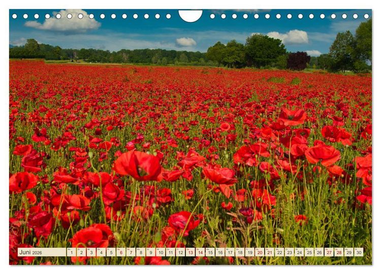 Produktbild: Landkreis Emmendingen - Streifz&uuml;ge durch den S&uuml;dwesten (Wandkalender 2026 DIN A4 quer), CALVENDO Monatskalender