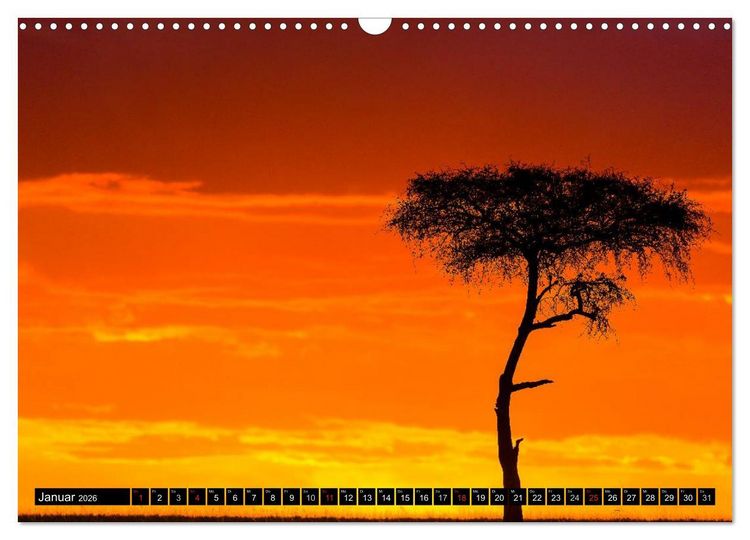 Produktbild: Masai Mara 2026 (Wandkalender 2026 DIN A3 quer), CALVENDO Monatskalender