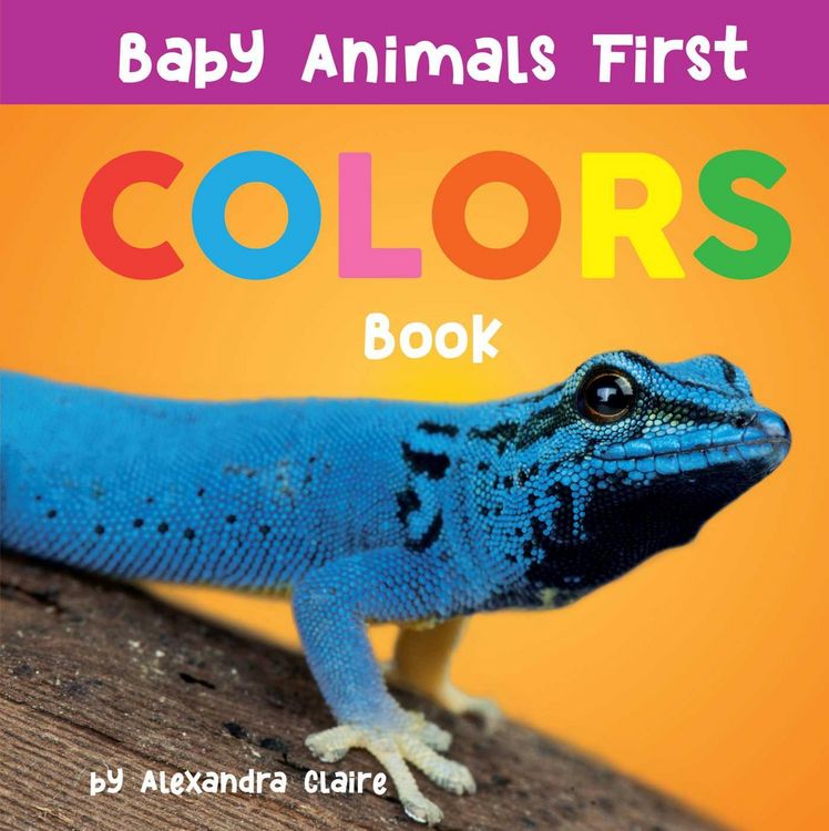 Produktbild: Baby Animals First Colors Book