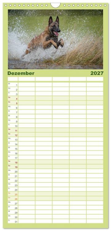 Produktbild: Familienplaner 2027 - Belgischer Sch&auml;ferhund - Der Malinois in Action mit 5 Spalten (Wandkalender, 21 x 45 cm) CALVENDO
