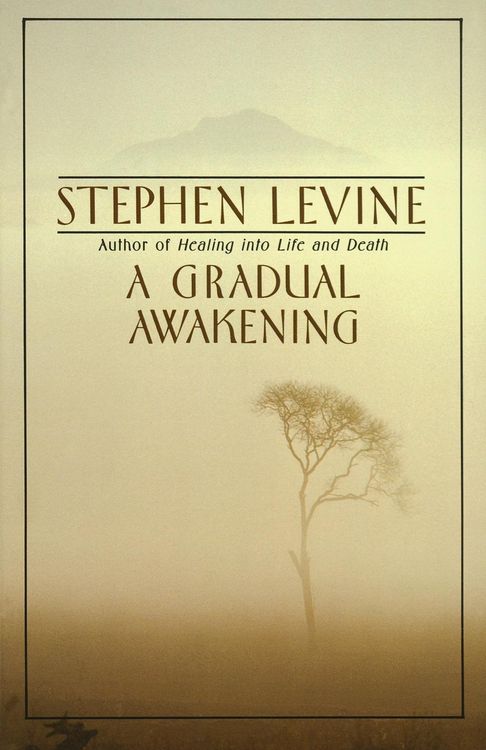 Produktbild: A Gradual Awakening