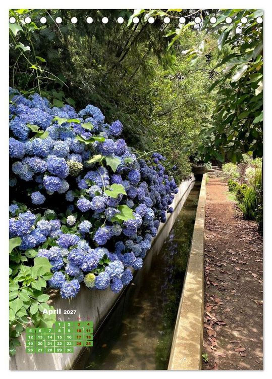 Produktbild: Madeiras Flora. Wundersame Wildblumen und exotische Geh&ouml;lze (Tischkalender 2027 DIN A5 hoch), CALVENDO Monatskalender