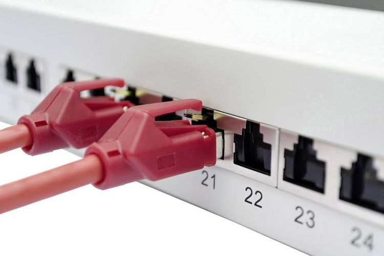Produktbild: Digitus DN-91624S-EA 24 Port Netzwerk-Patchpanel 483 mm (19") CAT 6a 1 HE Lichtgrau (RAL 7035) Best&uuml;ckt
