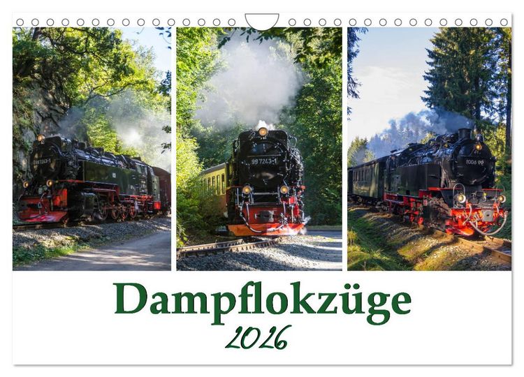 Produktbild: Schmalspurbahnen im Harz (Wandkalender 2026 DIN A4 quer), CALVENDO Monatskalender