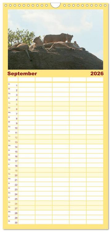 Produktbild: Familienplaner 2026 - Die Magie der K&ouml;nige der Tiere mit 5 Spalten (Wandkalender, 21 x 45 cm) CALVENDO