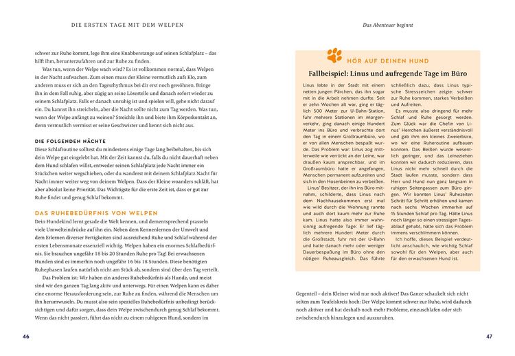 Produktbild: Der Welpen-Alltags-Helfer