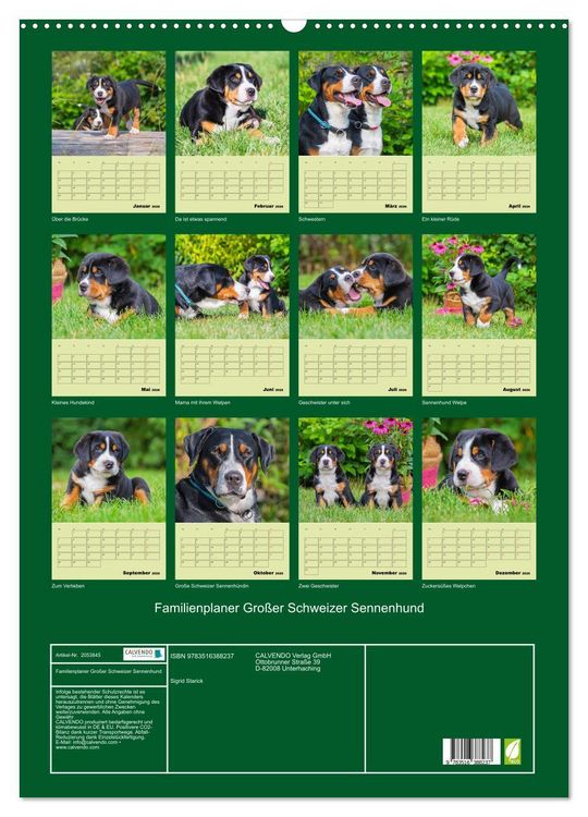 Produktbild: Familienplaner Gro&szlig;er Schweizer Sennenhund (Wandkalender 2026 DIN A2 hoch), CALVENDO Monatskalender