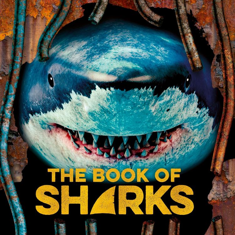 Produktbild: The Book of Sharks