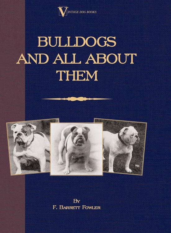 Produktbild: Bulldogs and All About Them (A Vintage Dog Books Breed Classic - Bulldog / French Bulldog)