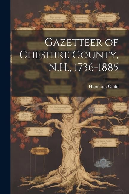 Produktbild: Gazetteer of Cheshire County, N.H., 1736-1885
