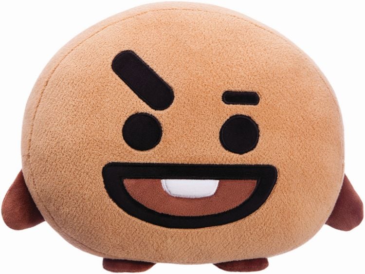Produktbild: BT21 Shooky Kissen