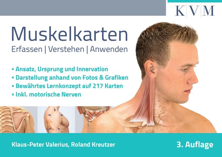 Produktbild: Muskelkarten