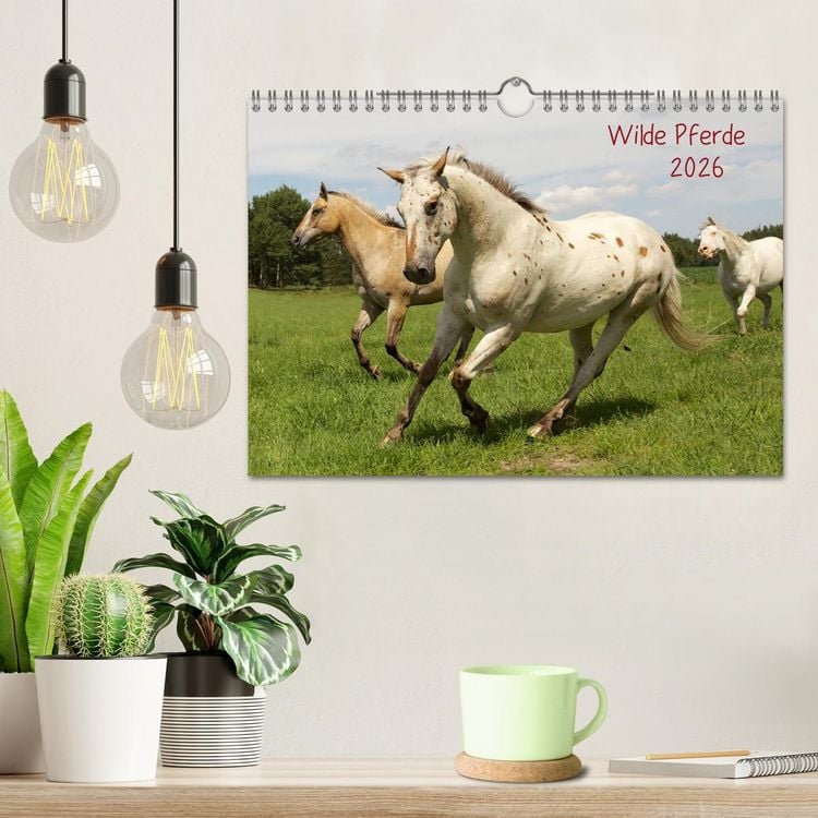 Produktbild: Wilde Pferde (Wandkalender 2026 DIN A4 quer), CALVENDO Monatskalender