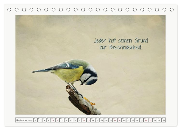 Produktbild: Irische Segensw&uuml;nsche (Tischkalender 2026 DIN A5 quer), CALVENDO Monatskalender