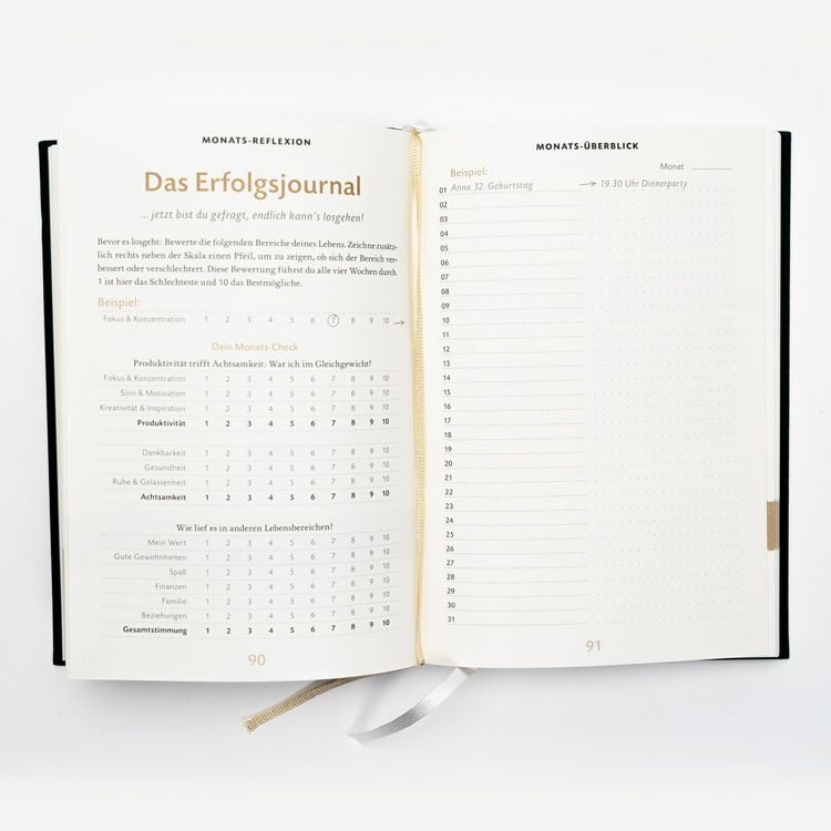 Das 6-Minuten-Erfolgsjournal (petrol)