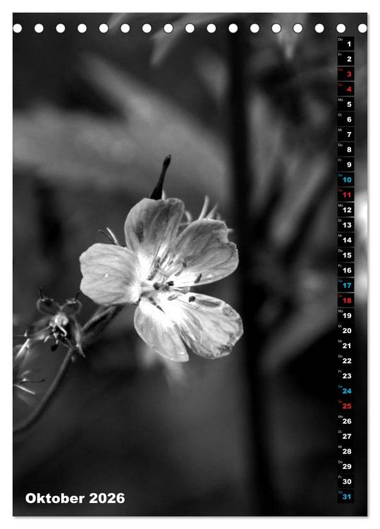 Produktbild: Blumige Graustufen - Schwarz und Wei&szlig; (Tischkalender 2026 DIN A5 hoch), CALVENDO Monatskalender