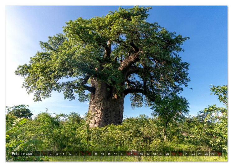 Produktbild: Namibia und Botswana - Entdeckungen in der Weite Afrikas (hochwertiger Premium Wandkalender 2026 DIN A2 quer), Kunstdruck in Hochglanz