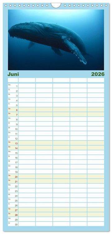 Produktbild: Familienplaner 2026 - Tiefsee - Ein Abenteuer ins Unbekannte. mit 5 Spalten (Wandkalender, 21 x 45 cm) CALVENDO