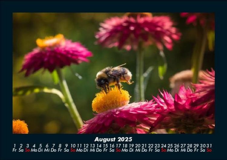 Produktbild: Blumenkalender 2025 Fotokalender DIN A5