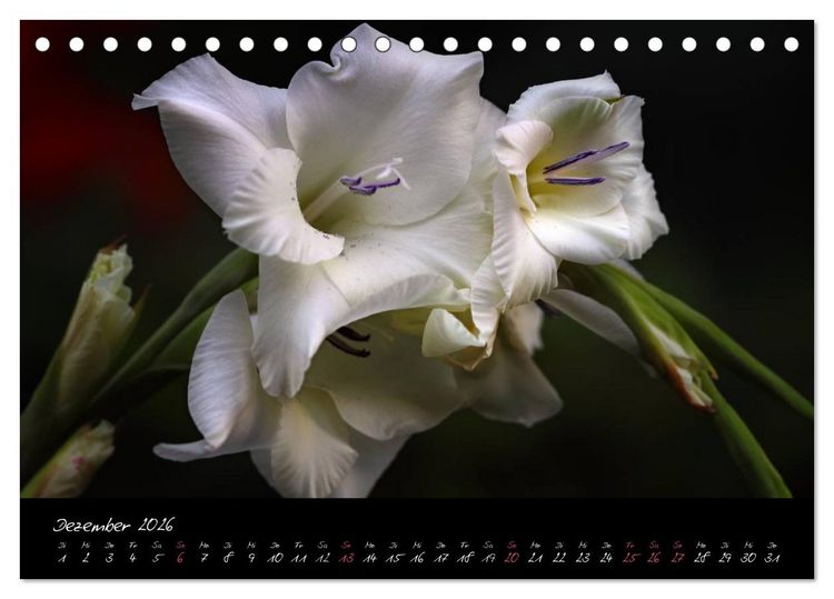 Produktbild: Soul-Jazz - Visuelle Musik der Blumen (Tischkalender 2026 DIN A5 quer), CALVENDO Monatskalender
