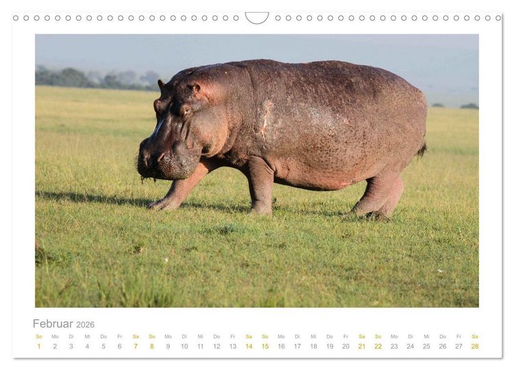 Produktbild: Ein L&auml;cheln f&uuml;r die Tierwelt (Wandkalender 2026 DIN A3 quer), CALVENDO Monatskalender