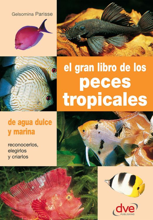 Produktbild: El gran libro de los peces tropicales