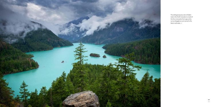 Produktbild: Washington, Evergreen