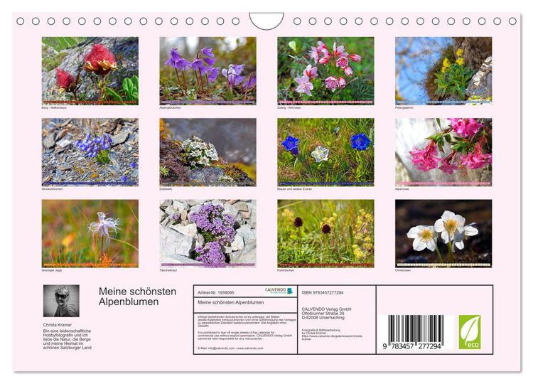 Produktbild: Meine sch&ouml;nsten Alpenblumen (Wandkalender 2026 DIN A4 quer), CALVENDO Monatskalender