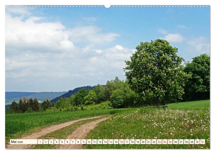 Produktbild: Viele Wege - ein Ziel Wandern im Odenwald (Wandkalender 2026 DIN A2 quer), CALVENDO Monatskalender
