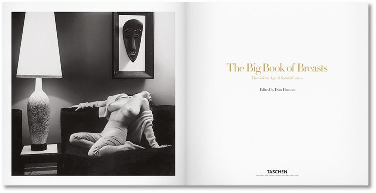 Produktbild: The Big Book of Breasts