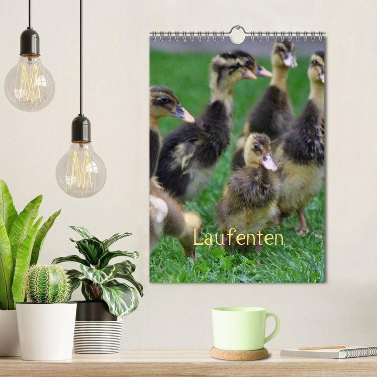 Produktbild: Laufenten (Wandkalender 2026 DIN A4 hoch), CALVENDO Monatskalender