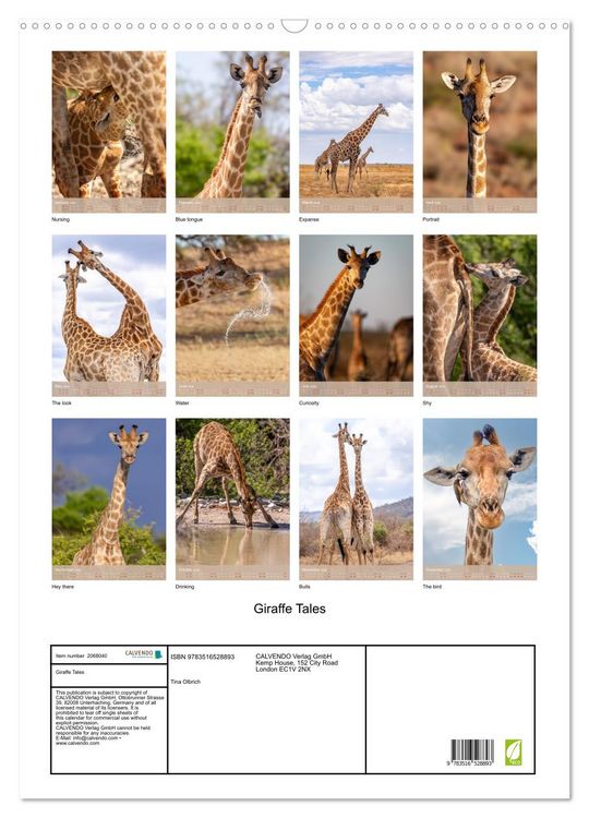 Produktbild: Giraffe Tales (Wall Calendar 2026 DIN A2 portrait), CALVENDO 12 Month Wall Calendar