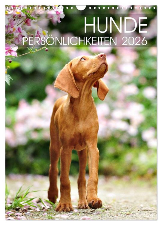 Produktbild: Hundepers&ouml;nlichkeiten (Wandkalender 2026 DIN A3 hoch), CALVENDO Monatskalender