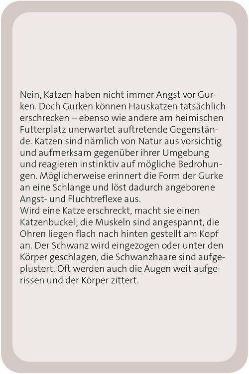 Produktbild: Das gro&szlig;e Katzen Quiz