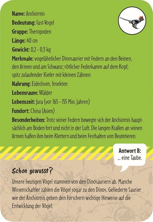 Produktbild: 50 Dinosaurier