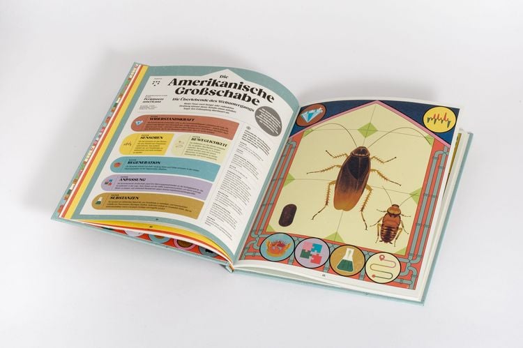Produktbild: Insekten und ihre Superkr&auml;fte