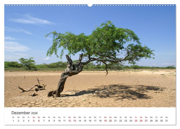 Produktbild: Venezuela - Eine Reise entlang der Karibikk&uuml;ste. (Wandkalender 2026 DIN A2 quer), CALVENDO Monatskalender