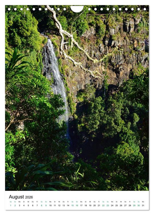 Produktbild: Regenwald - Australien (Wandkalender 2026 DIN A4 hoch), CALVENDO Monatskalender