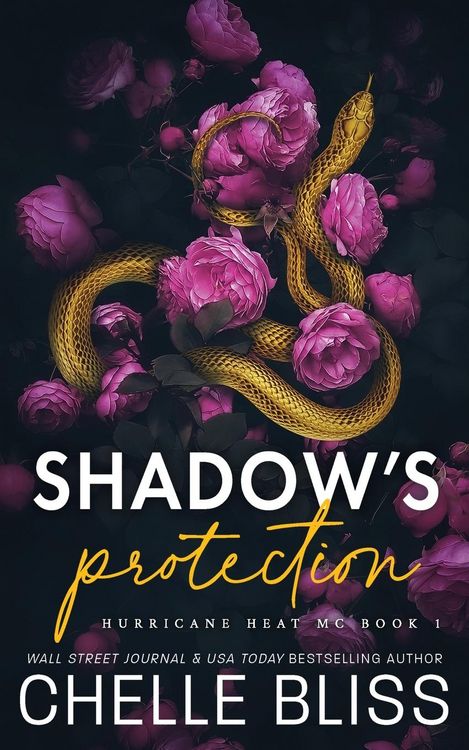 Produktbild: Shadow's Protection