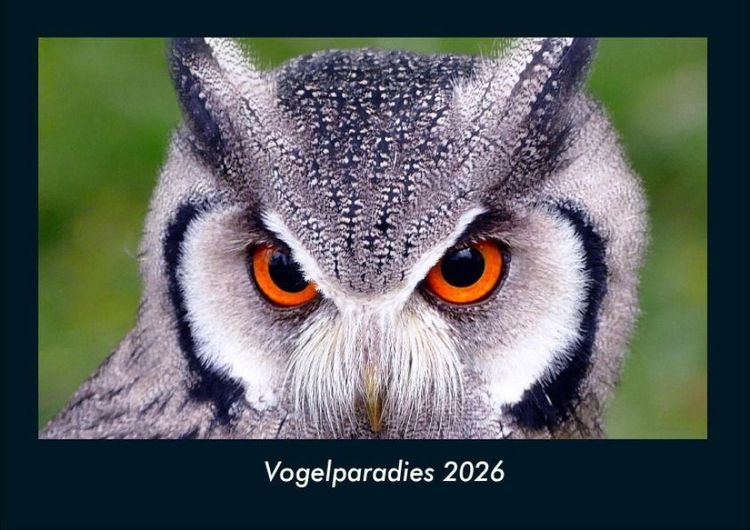 Produktbild: Vogelparadies 2026 Fotokalender DIN A4